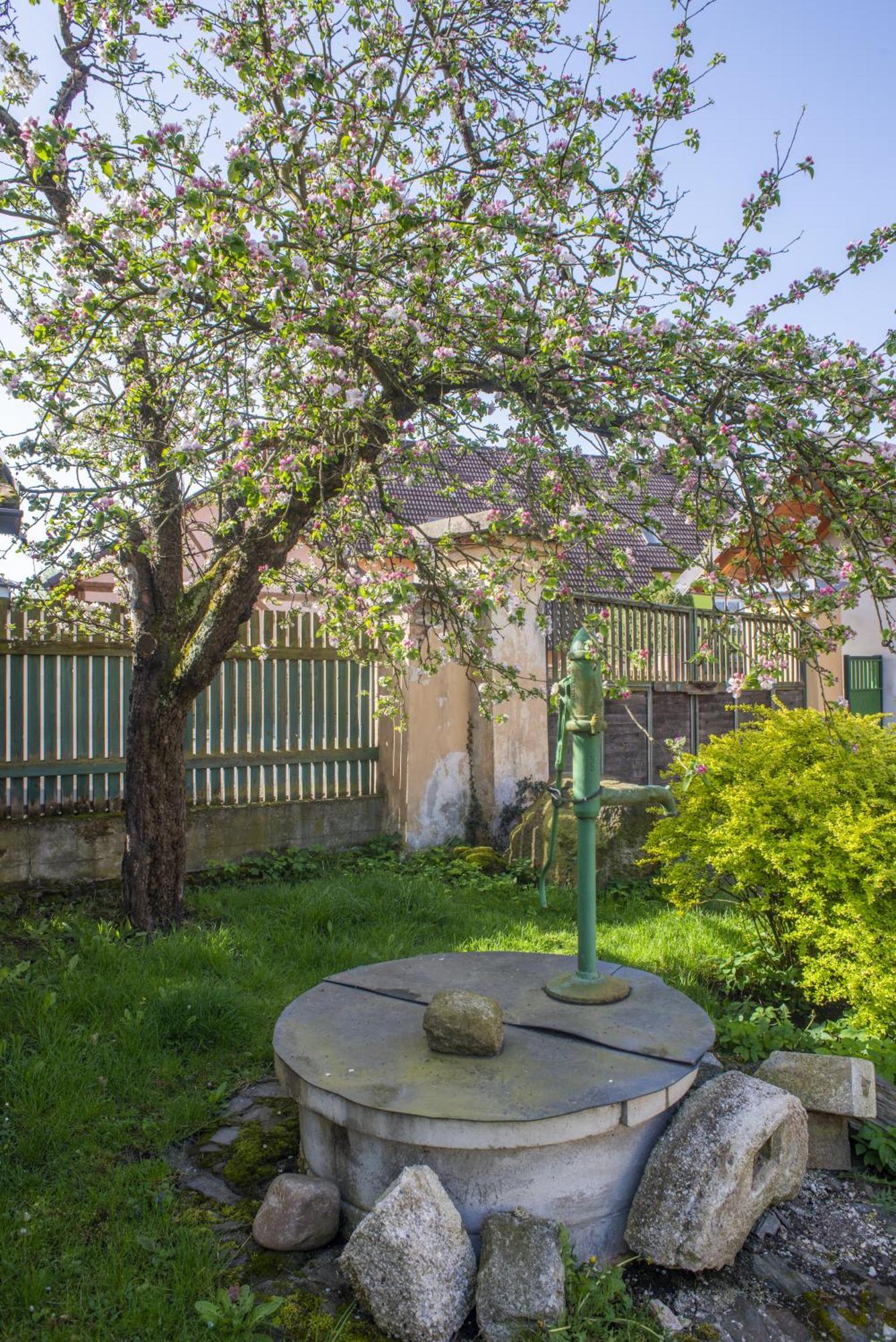 Apartamento Mlyn-Osvracin Exterior foto