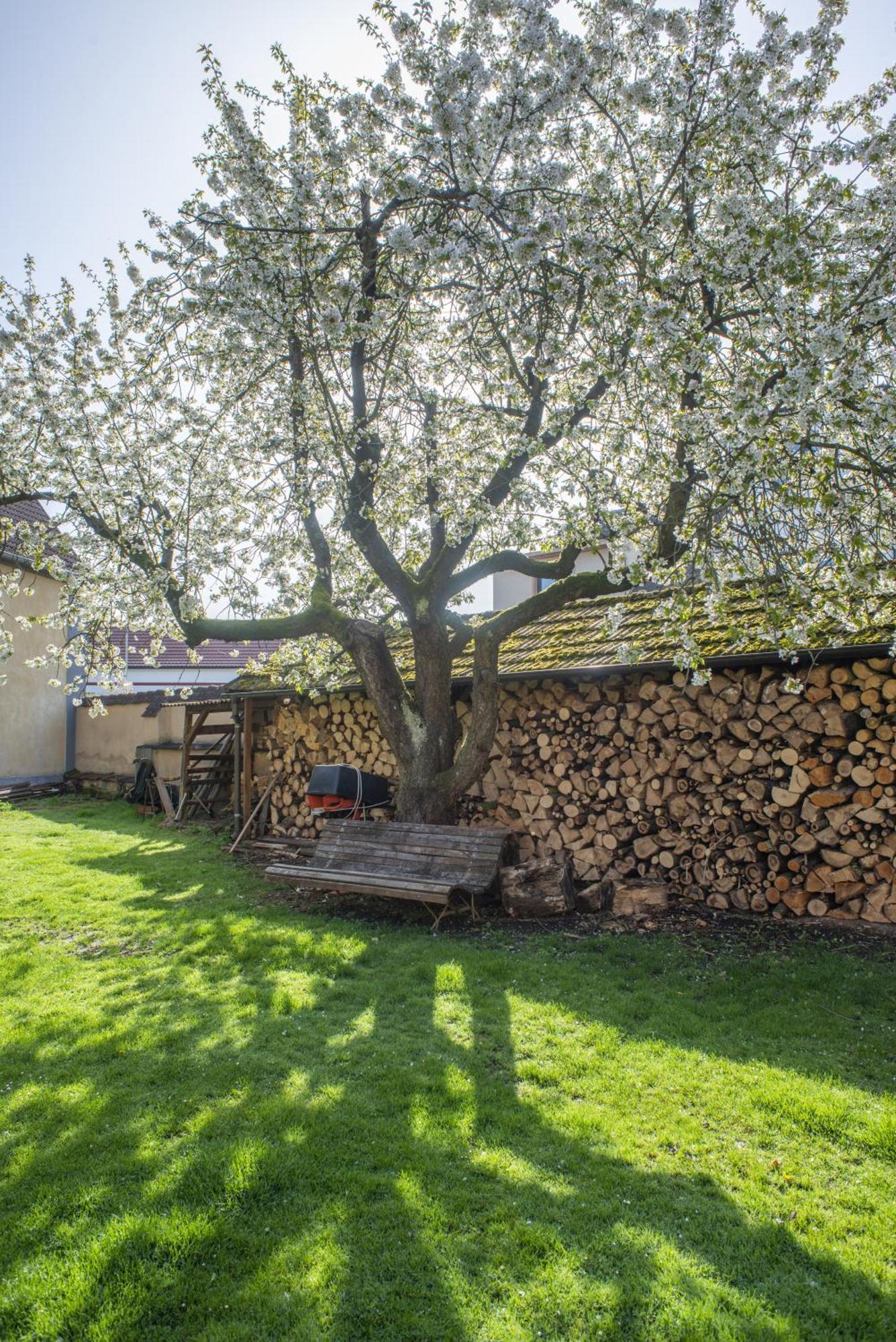 Apartamento Mlyn-Osvracin Exterior foto