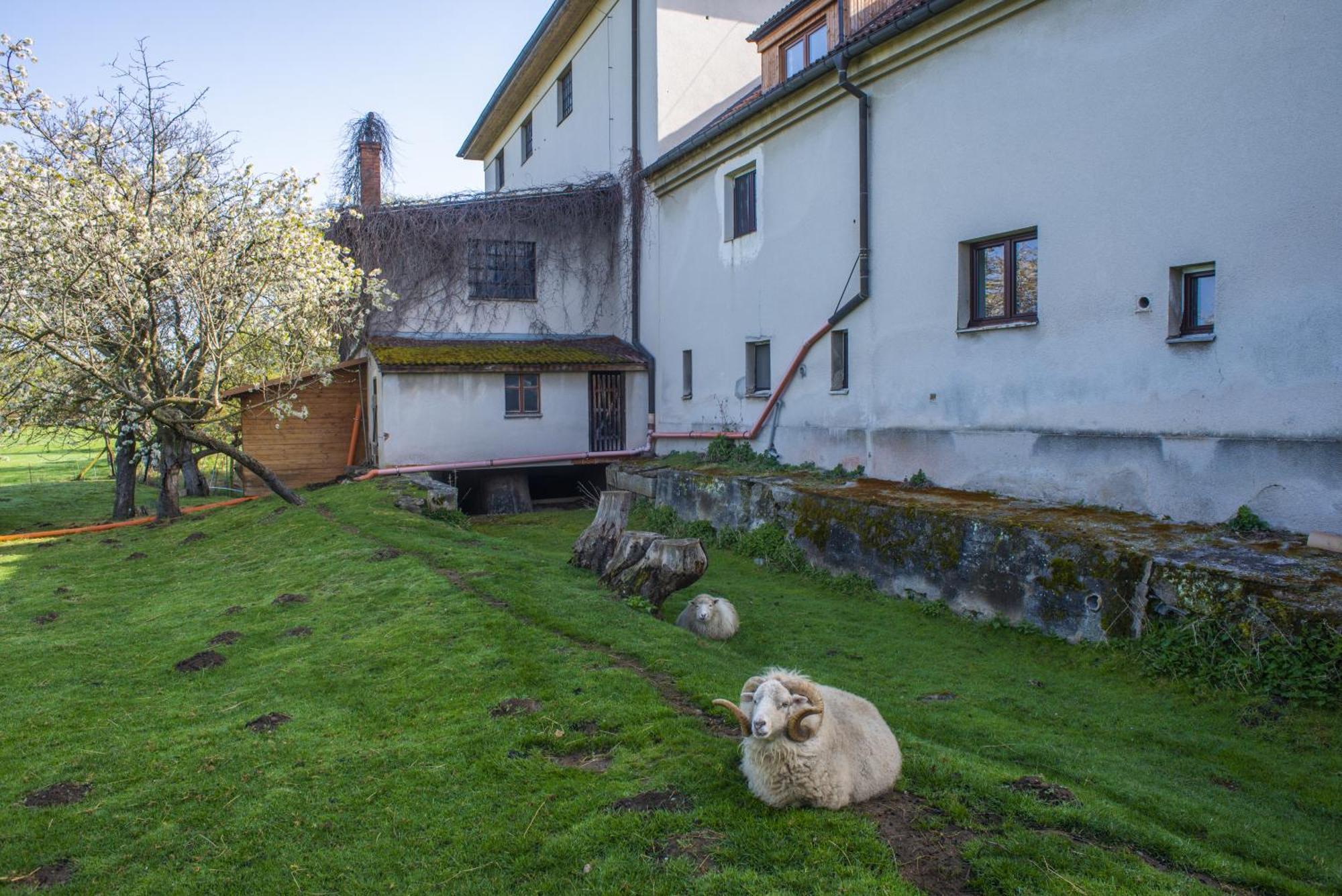 Apartamento Mlyn-Osvracin Exterior foto
